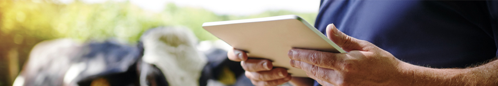 Closeup of person using tablet